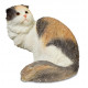 Figurine Chat Scottish Fold