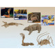 Puzzle en bois 3D Squelette Animaux sauvages