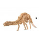 Puzzle en bois 3D Squelette de dinosaure 