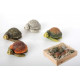 Lot de 12 Figurines Tortue dans boîte en bois