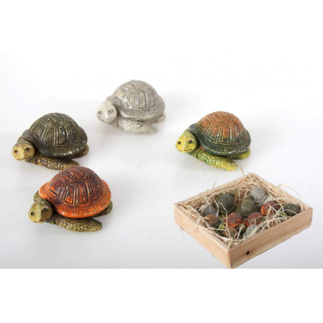 Lot de 12 Figurines Tortue dans boîte en bois