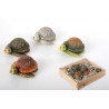 Lot de 12 Figurines Tortue dans boîte en bois