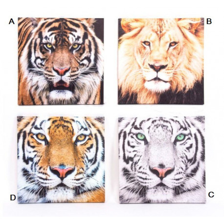 Cadre toile Tigre et Lion - 40 x 40 cm