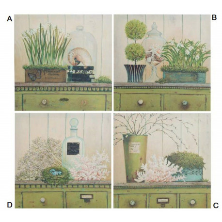 Cadre toile Plante sur commode - 40 x 40 cm