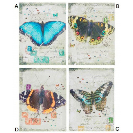 Cadre toile Papillon - 40 x 30 cm