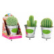 Bougie Cactus