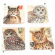 Vide poche Hibou ou Chouette