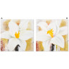 Tableau peinture Fleur blanche - 30 x 30 cm