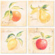 Tableau toile Fruits 