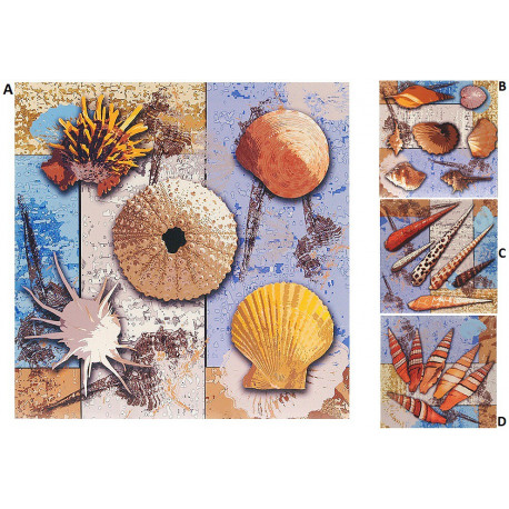 Cadre toile Coquillages - mer - 40 x 40 cm