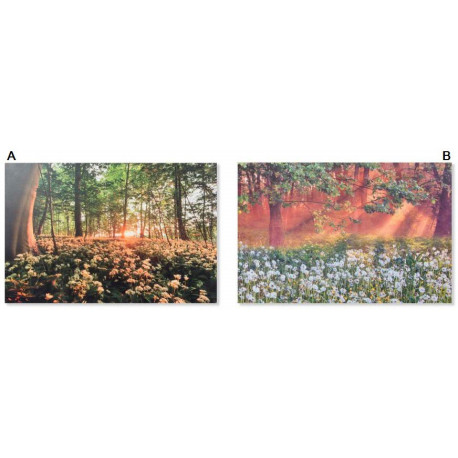 Tableau toile Forêt - 60 x 40 cm
