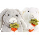 Peluche Lapin avec carotte - 20 cm