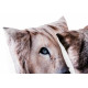 Coussin déco Animaux - Lion ou Loup - 45 x 45 cm