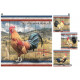 Cadre toile Coq - ferme - 40 x 40 cm