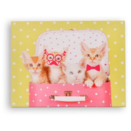 Cadre toile Chaton - humour - 40 x 30 cm