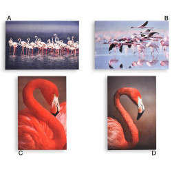 Tableau toile Flamant rose - 60 x 40 cm