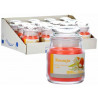 Bougie parfumée Orange - anti tabac