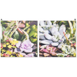 Tableau toile Plantes succulentes - 40 x 40 cm