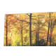 Tableau toile Arbres forêt - 90 x 30 cm