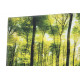 Tableau toile Arbres forêt - 90 x 30 cm