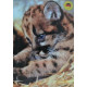 Puzzle Animaux 99 pièces