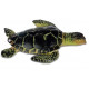 Lot de 2 aimants Tortue de mer