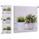 Cadre toile Plante dans pot - 28 x 28 cm