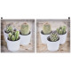 Tableau toile Cactus dans pot - 28 x 28 cm