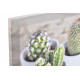 Tableau toile Cactus dans pot - 28 x 28 cm