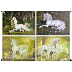 Tableau toile Licorne dans forêt - 40 x 30 cm