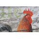 Tableau toile Coq - 40 x 40 cm