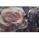 Cadre toile Fleurs Roses - 70 x 50 cm