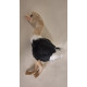 Peluche Autruche - 35 cm