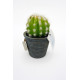 Cactus artificiel dans pot - 14 cm