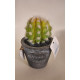 Cactus artificiel dans pot - 14 cm