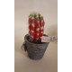 Cactus artificiel dans pot - 14 cm