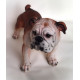 Grande Statuette chien Bulldog - 33 cm