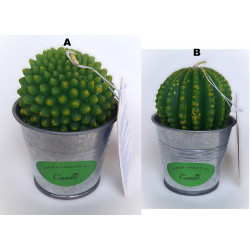 Bougie Cactus