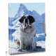 Journal intime chien Saint Bernard