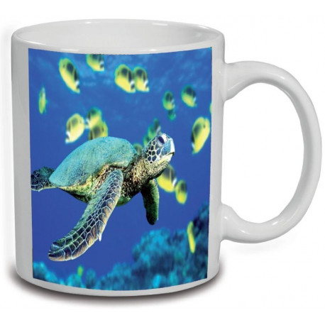 Lot de 2 mugs tortue