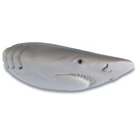 Lot de 6 aimants frigo Requin