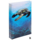 Journal intime Tortue