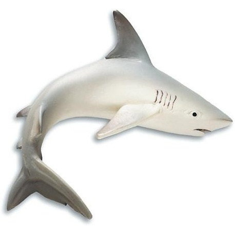 Lot de 2 aimants Requin