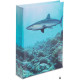 Journal intime Requin