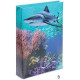 Journal intime Requin