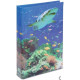 Journal intime Requin