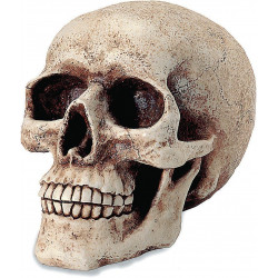 Tirelire gothique Crâne 