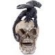 Statuette gothique Dragon sur Crâne