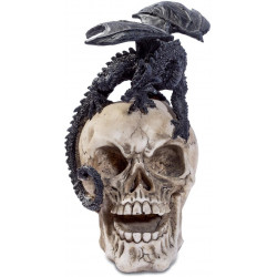 Statuette gothique Dragon sur Crâne