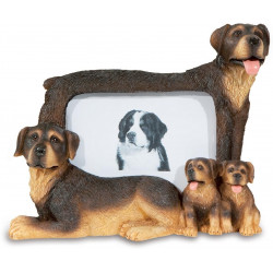 Cadre photo figurine Chien Bernois